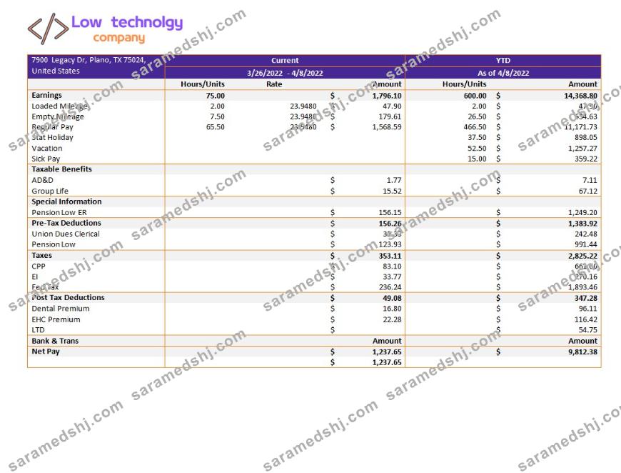 low technology company paystub template in Word and PDF formats